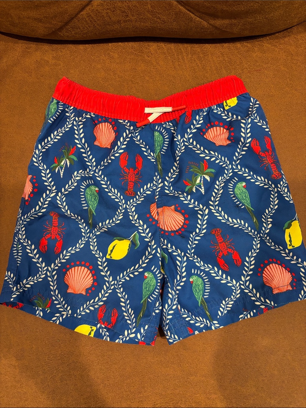 Mini Boden Blue Nautical-Print Swim Shorts with Red Waistband